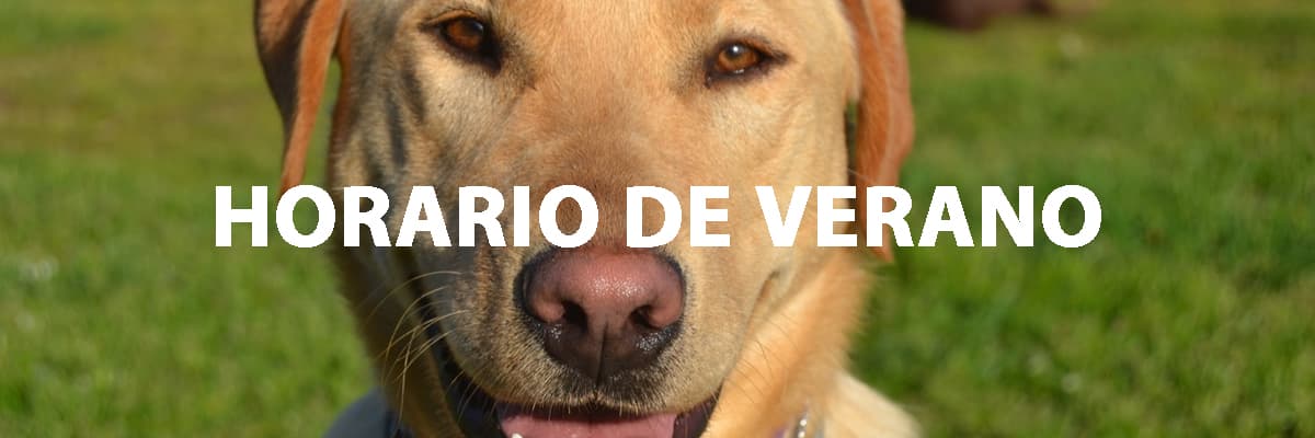 HORARIO DE VERANO – HOTEL CANINO RAMALLADAS VIGO