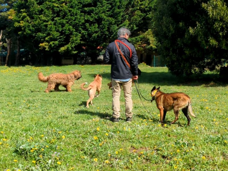 Instalaciones del Hotel Canino Ramalladas