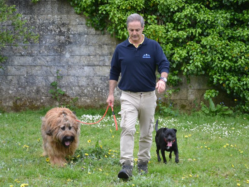 Juan Freire, educador canino de Ramalladas