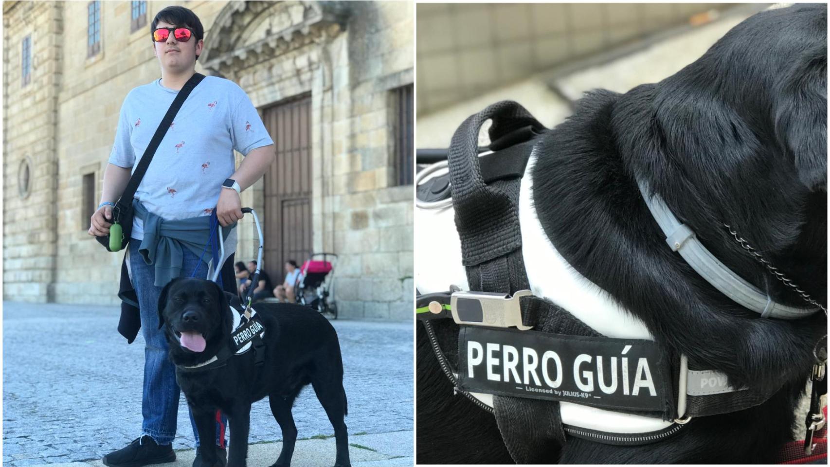 Adiestramiento de perros guía en Ramalladas