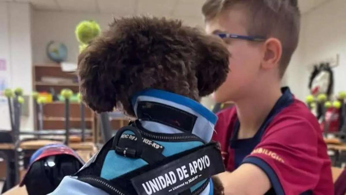 Entrega de perros guía y de asistencia en Galicia