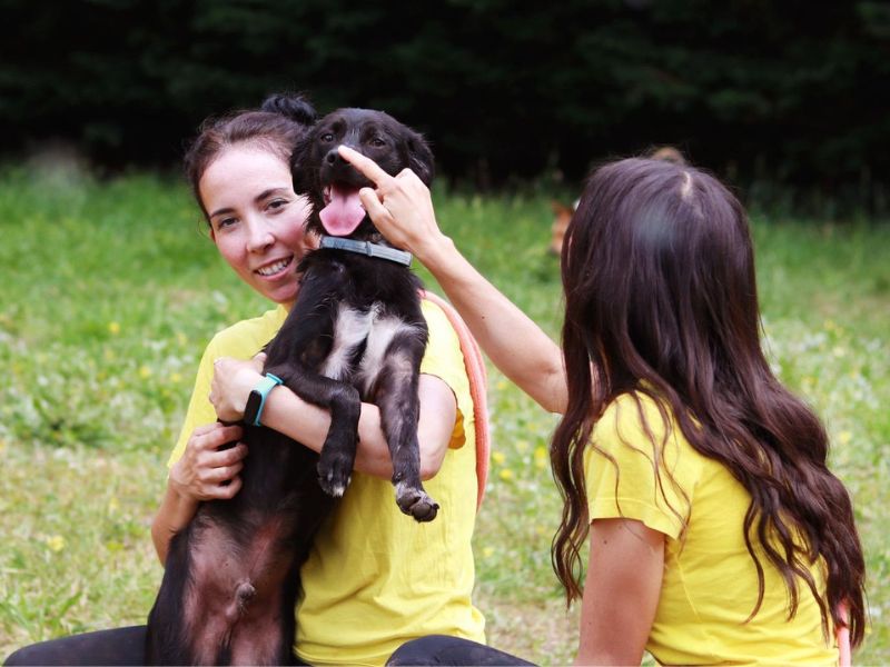 Perros en las instalaciones de residencia