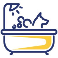 Servicio de baño de perros