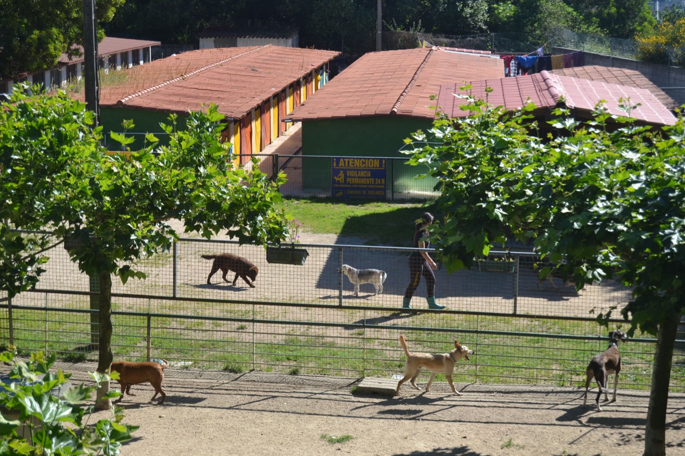 Ramalladas hotel para perros en Vigo