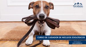 Cartel anunciando curso