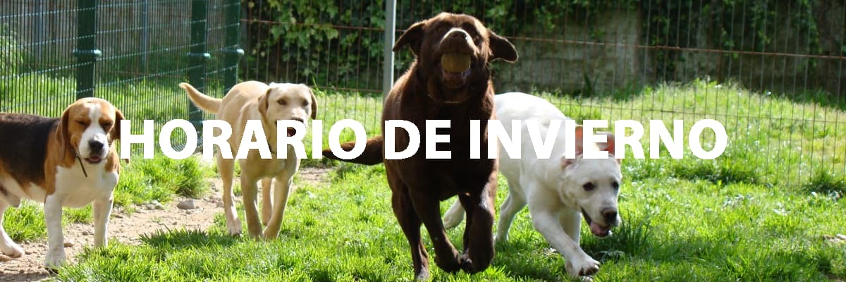 horario de invierno
