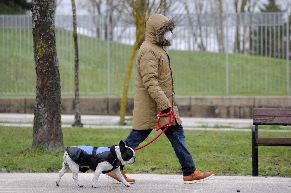 Persona paseando perro por la calle