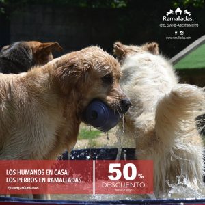 Cartel descuento alojamiento