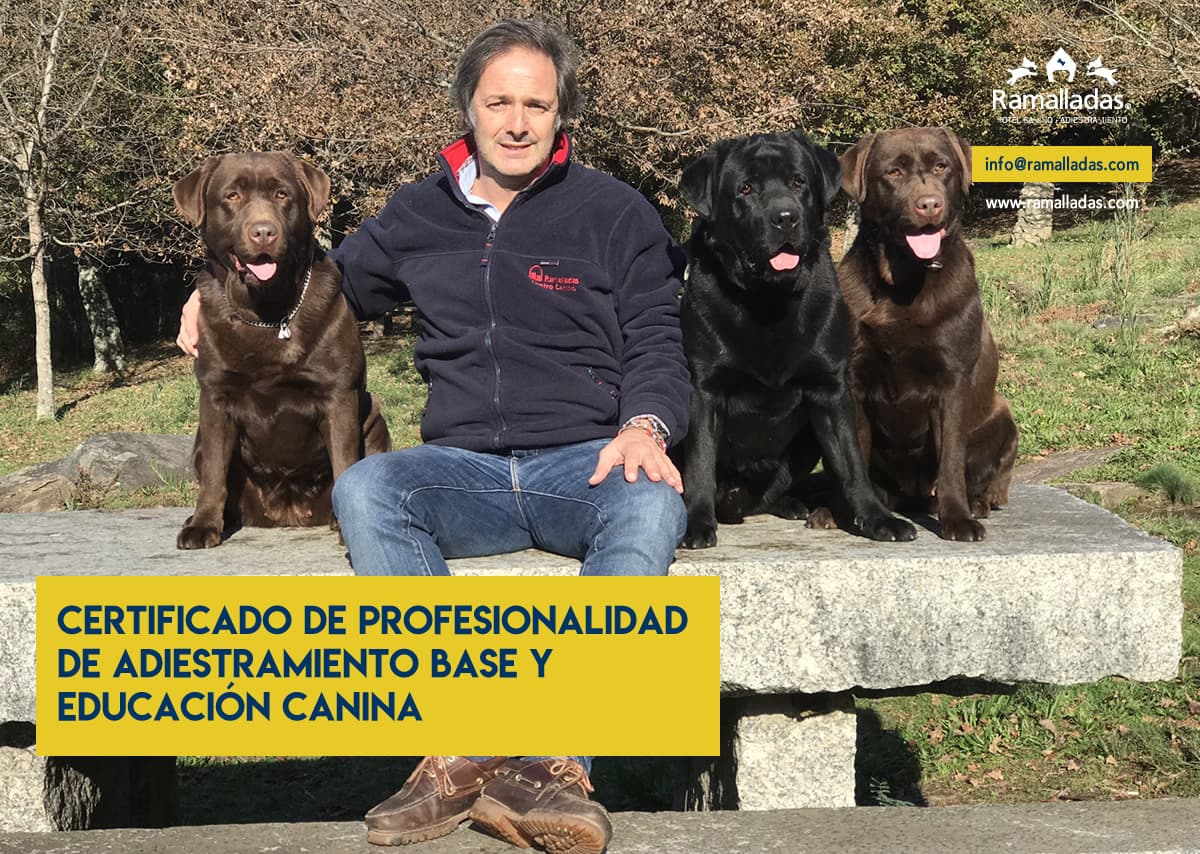 Juan Freire, educador canino con varios perros
