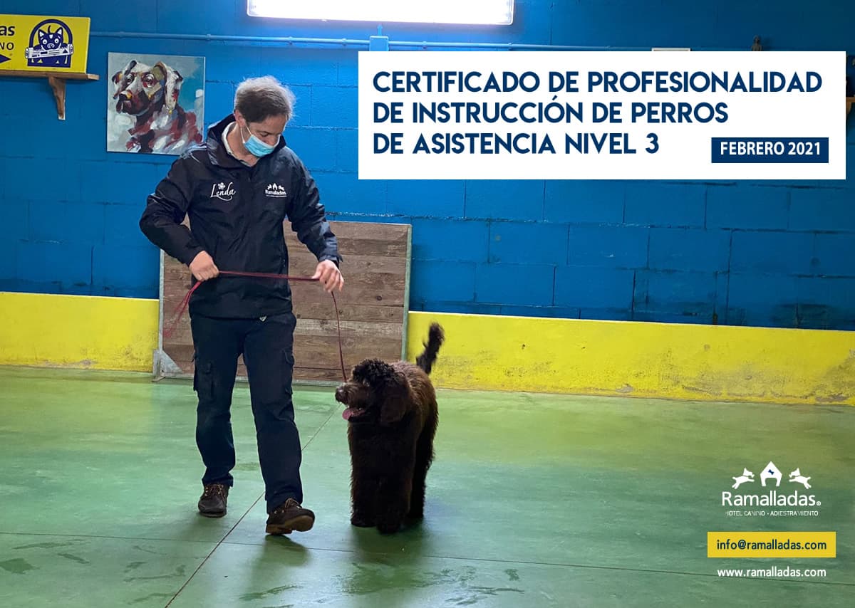 Juan Freire, educador canino