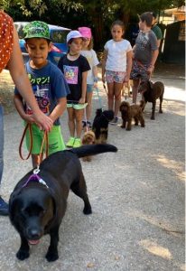 niños con perros