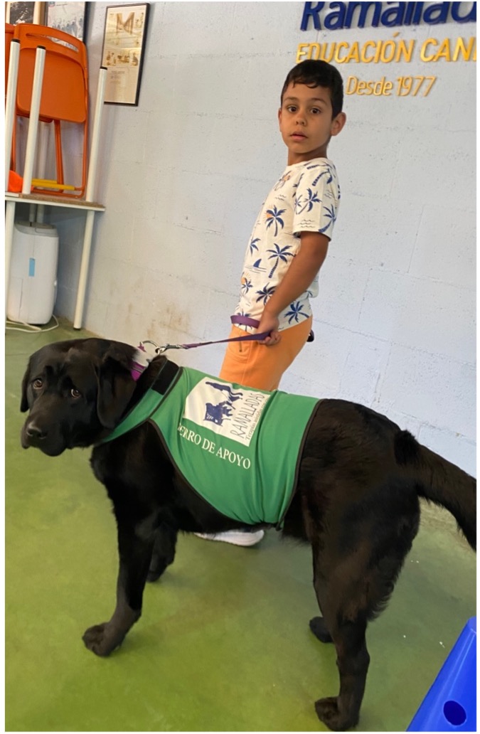 Niño durante sesión con perro de asistencia sujeta a perro por la correa