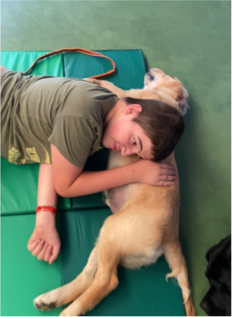Niño tumbado al lado de un perro de asistencia en sesión de terapia